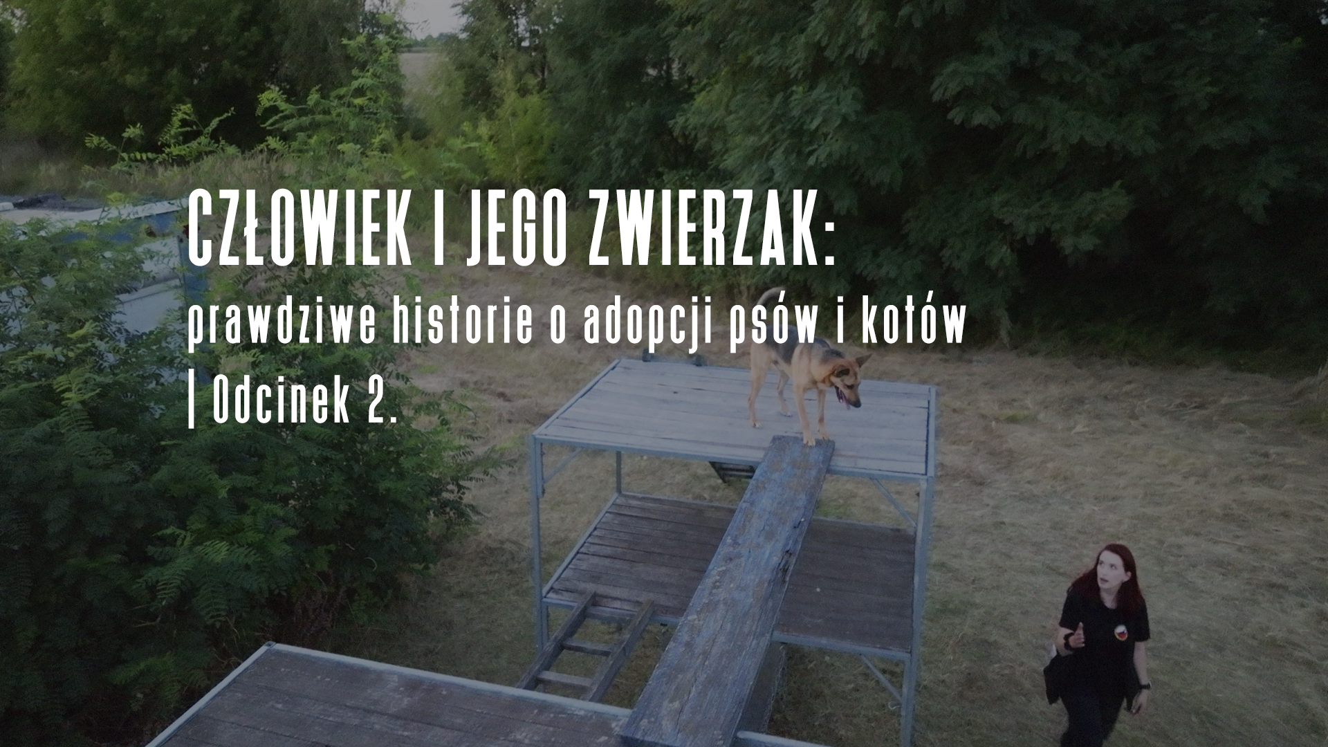 cover Człowiek i jego zwierzak: prawdziwe historie o adopcji psów i kotów